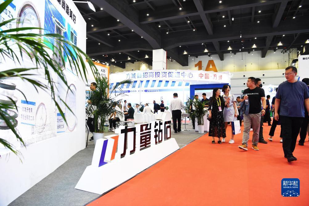 鱼丸游戏电脑版